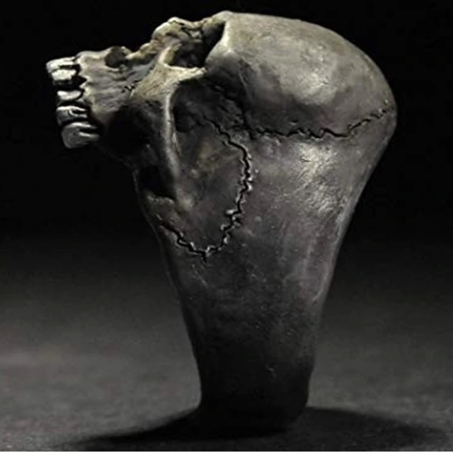 Schädel Ring-Schwarz/62mm