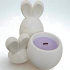 Weiß / Violett